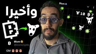 بوت BLUM واخر تحديث  عن ربح عملة dogs من خلال اللعب في بوت بلوم#blum 