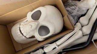 Animated Premium Skeleton Halloween Scene Prop Hyde & EEK Boutique UNBOXING