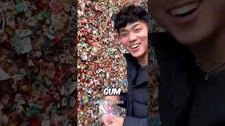 Chewing gum wall #shorts #science