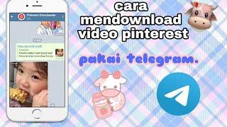 cara download video pinterest lewat telegramcia_milk