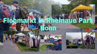 Flohmarkt in Rheinaue ParkBonn #flohmarkt#rheinauepark#bonn