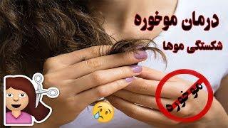 درمان موخوره و موهای آسیب دیده و شکسته