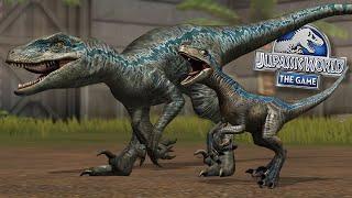 Beta and Blue Reunited  Jurassic World - The Game - Ep532 HD