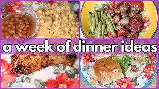 SIMPLE DINNER IDEAS  What’s For Dinner? #334  1-WEEK OF REAL LIFE MEALS