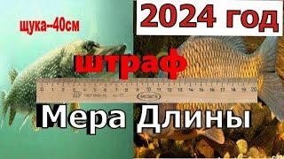 Норма вылова рыбы 2024 Штраф за рыбалку 2024 Размер рыб для вылова Рыболовные правила 2024