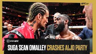 Suga Sean OMalley storms UFC Octagon to crash the party  #UFC288 Aljamain Sterling v Henry Cejudo