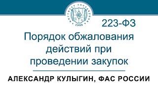 Порядок обжалования действий при проведении закупок по Закону 223-ФЗ – А.В. Кулыгин ФАС 06.06.2024