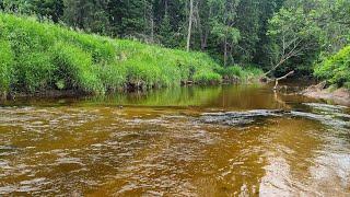 Brown Trout Fishing the UP  ULTRA Clear Water Fishing