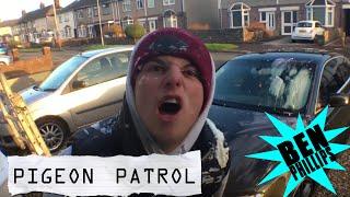 Ben Phillips  Pigeon Patrol - a cow had C*mmed on my car - PRANK