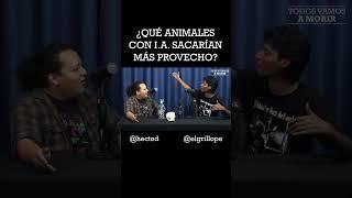 INTELIGENCIA ARTIFICIAL VS ANIMALES  #shorts #nnentrevistas #tvm #grillo #hectod #comedia #peru