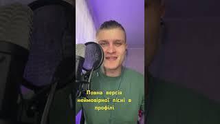 Загорулько Віталій - Падала зірка Cover