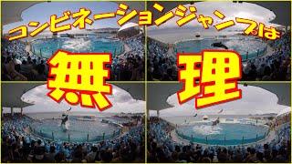 スマシーのシャチプールはかなり狭いのでコンビネーションジャンプは無理