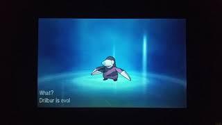 Shiny Drilbur Evolving in Sun and Moon