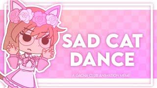  SAD CAT DANCE   GACHA CLUB ANIMATION MEME 