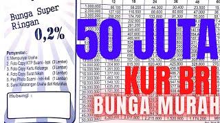 KUR BRI 50JT 2021 CARA SYARAT PENGAJUAN KUR BRI