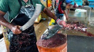 The Fastest Fish Cutting Skills Sri Lanka