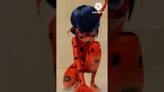 miraculous ladybug  catnoirRena rouge queen beecara pace and hoth moth