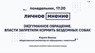 Негуманное обращение. Власти запретили кормить бездомных собак