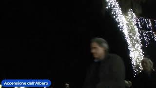 Si accendono e brillano gli Alberi di Natale