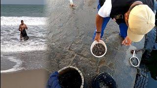 MI OTRO TRABAJO EN LA PESCA ARTESANAL  ¿Cuánto gane?   Tablita Fishing