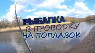 Рыбалка в проводку на маленькой реке весной Крупные голавли на поплавочную удочку