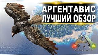 Аргентавис Argentavis в АРК. Лучший обзор приручение разведение и способности в ark