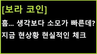 보라 코인 2곳의 엄청난 목표가 있기는 한데..... 생각보다 소모가 빠른 상황?