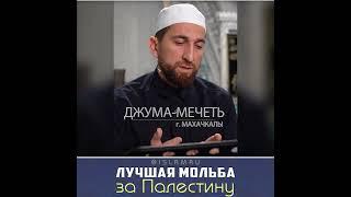 Лучшее дуа за Палестину #Палестина #Газа #мольба