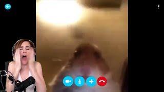 Staring Hamster Skype Meme Hamster Web Cam Meme