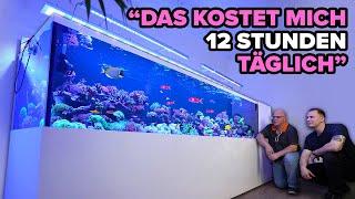 3500 LITER + KELLER - Thomas übertreibt die Aquaristik dezent 