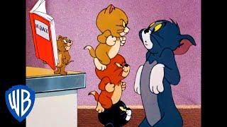 Tom und Jerry auf Deutsch  Zuhaus aber nicht allein  WB Kids