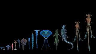 All Leviathan Class Organisms known yet on 4546B - All leviathan size comparison