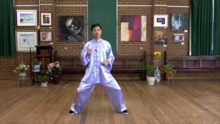 Tai Chi 24  Form step by step instructions Paragraph 2