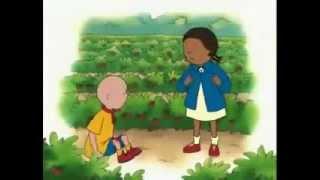 Caillou Goes Strawberry Picking