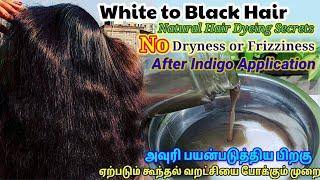 White to Black Hair No Dryness or Frizziness after indigo applicationNatural Hair Cleanser
