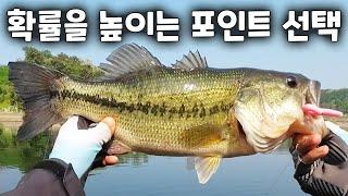 인기없는 포인트에서 잘잡히는 과학적인 이유 - 배스낚시