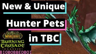 Rare Unique and New Hunter Pets in the Burning Crusade  A Hunters Guide to WoW TBC Classic