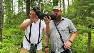 Birding Gear Essentials Budget to Billionaire