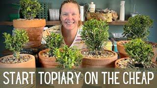 How To Start Topiary On The Cheap   Topiary Basics  How To Make A Topiary  Topiary Tutorial