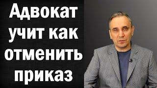 Отмена судебного приказа в 2024 году  Как отменить старый судебный приказ