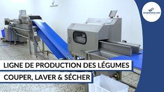 Ligne de Production Pour Couper et Laver des Légumes Pour Petites et Moyennes Capacité