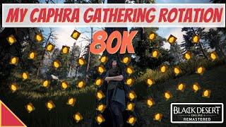 Black Desert Online - My Caphras Gathering Rotation2021