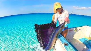 Do We Eat it? Florida Offshore Fishing for Massive Atlantic Sailfish