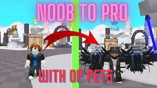 NOOB TO PRO WITH OP PETS Saber Simulator