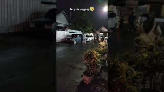 Story wa 30 detik kekinian latest cool story  wa  update 2021 part71