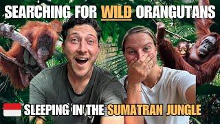 We Spent 2 Days In The Jungle Looking For Orangutans  Sumatra Indonesia Travel Vlog 