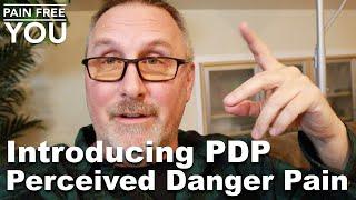 Introducing PDP - Perceived Danger Pain