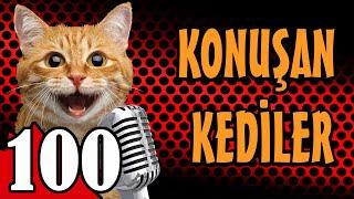 Konuşan Kediler 100 - En Komik Kedi Videoları - Pati TV