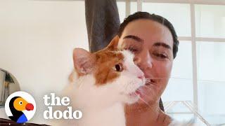 This Senior Rescue Cat Is Obsessed With Shower Time  The Dodo