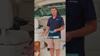 Take Your Dog Boating Keep Your Dog Comfortable Aboard  BoatUS